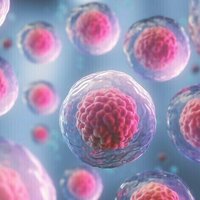Spaceflight accelerates aging of human blood-forming stem cells, study shows