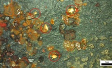 Exploração no projeto Rio Madeira encontra ouro visível