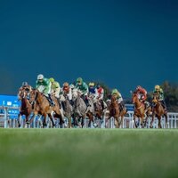 Abu Dhabi Turf Club hosts Eid Al Etihad Cup tomorrow