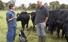 Welsh vets responsible for TB testing face move to ports to deal with Brexit issues