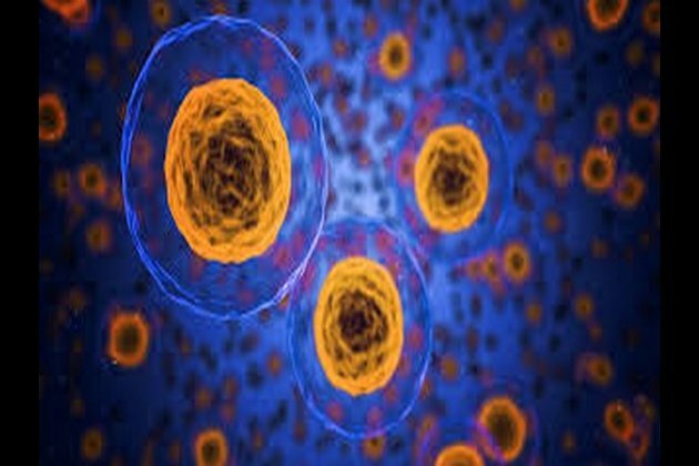 Nano-sized cells of body may help in fighting cancer: Study