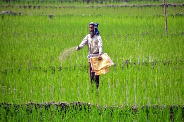 Government assures adequate fertilizer availability for Kharif season 2026
