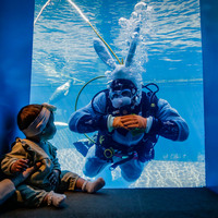 CANADA-VANCOUVER-EASTER-SCUBA BUNNY