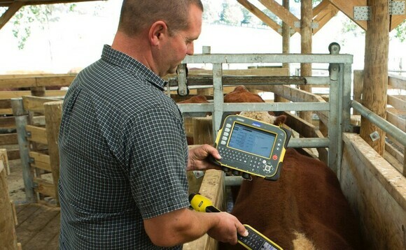 Datamars Livestock tools