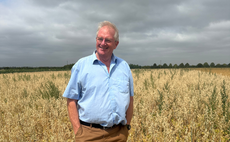 Could chickpeas fill the premium break crop gap?