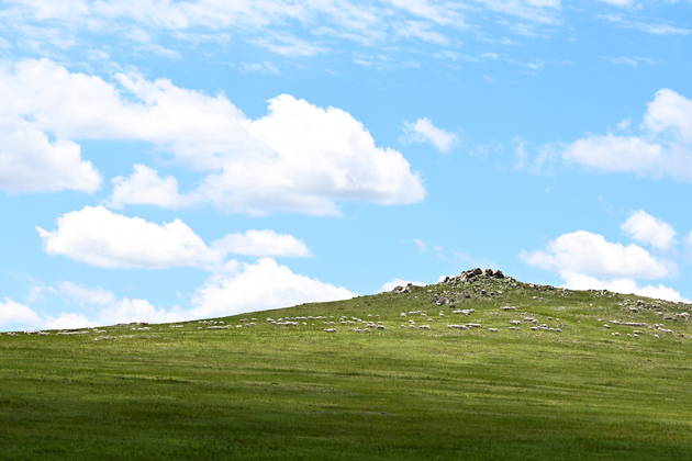 (EcoChina)CHINA-INNER MONGOLIA-XILINGOL LEAGUE-GRASSLAND-SUMMER (CN)