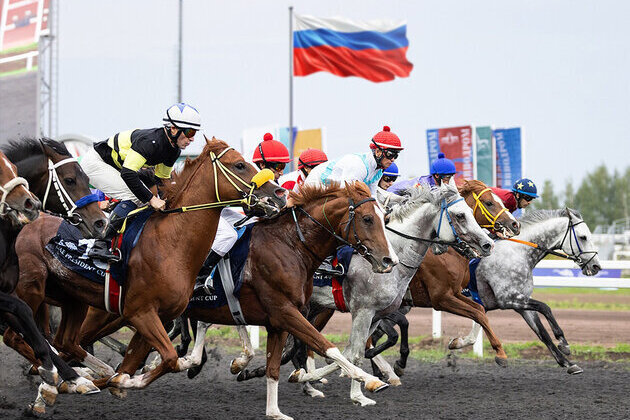 11 horses to compete for title of UAE President's Cup for Purebred Arabian Horses in Kazan