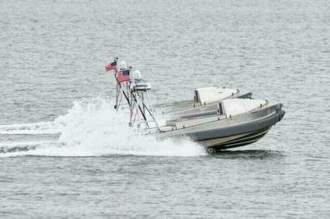 US push to build naval drone fleet 'not going well' - Reuters
