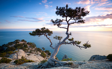 Branching out – LPs warn of potential pitfalls