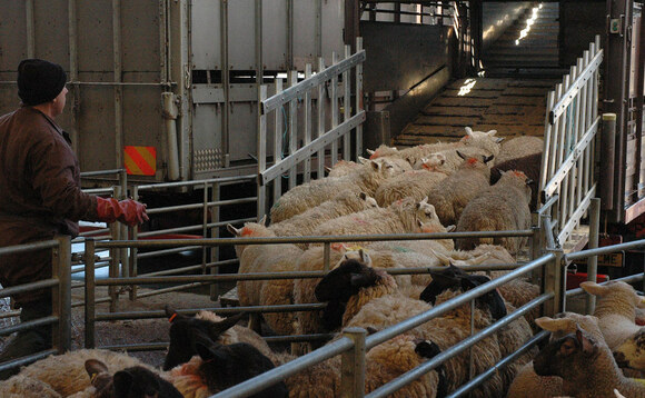 Scottish Secretary on industrys side on Defras livestock transport consultation