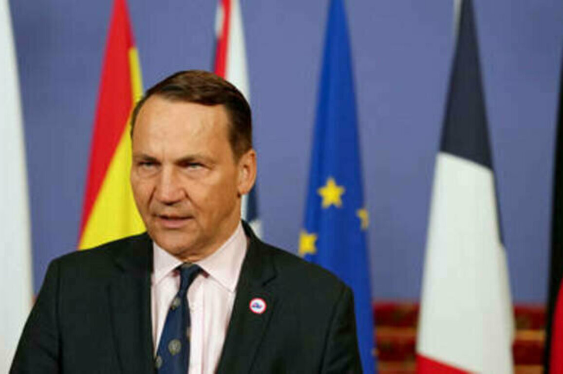 Poland pours cold water on 'security guarantees' for Ukraine