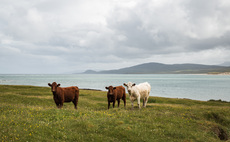 Historic farming business continues to evolve on the Isle of Islay
