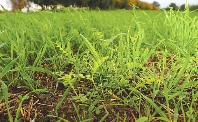 Post-Brexit rules pose challenge for biopesticides