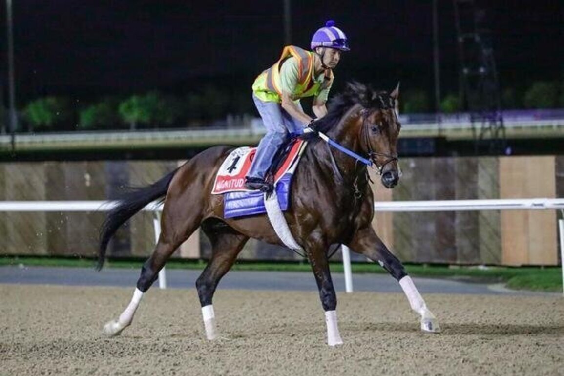 Global spotlight falls on Meydan as 170 nations tune in for Dubai World Cup
