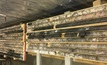 Drill core from Mavis Lake