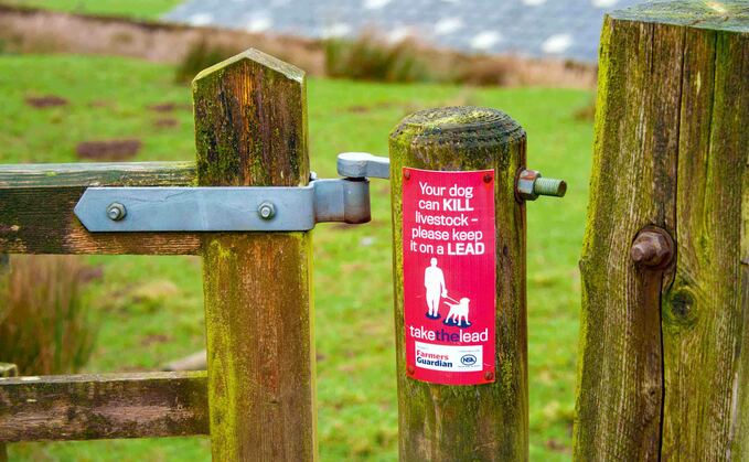 Sergeant Chris Wilkinson, at Derbyshire Constabulary, said: "Livestock worrying can have a devastating impact on farmers who are working hard to make a living."