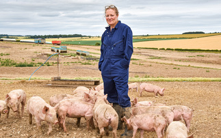 Free-range pig enterprise delivers real farm to fork journey 