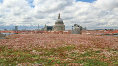 BMI UK & Ireland is green and blue all over with its new Active Roof Systems