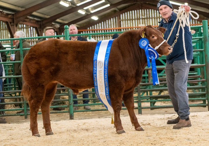 Reserve champion which sold for £2,700