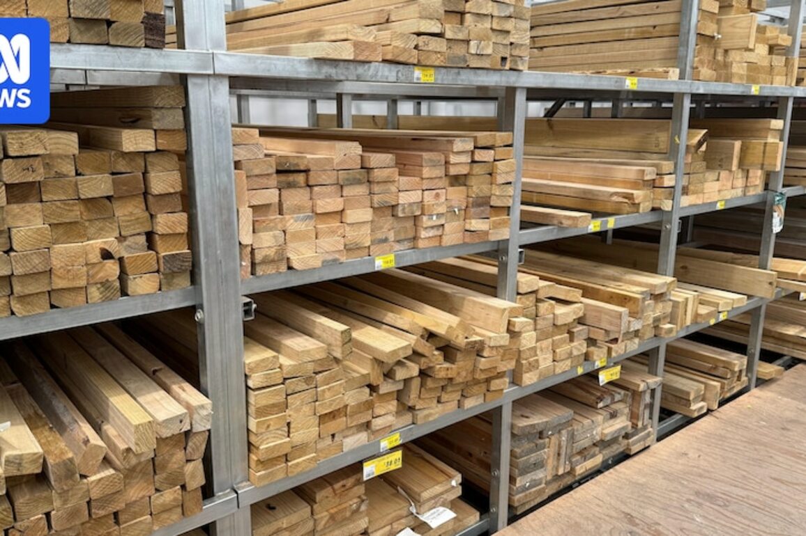 Coalition to introduce country of origin labelling for timber if it wins election