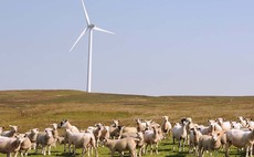 On-farm renewable energy projects 'stifled'