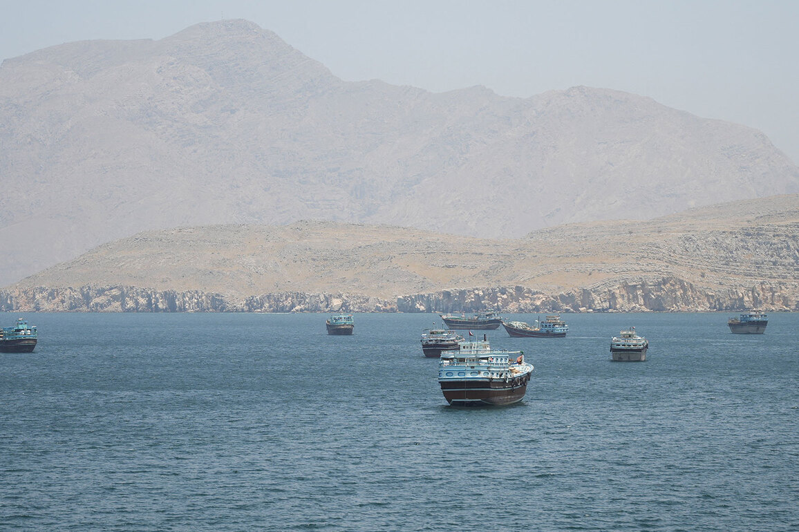 No ships have passed through Strait of Hormuz in past 24h: Report