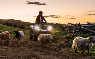 Farm Safety Week: Top tips to stay safe on ATVs