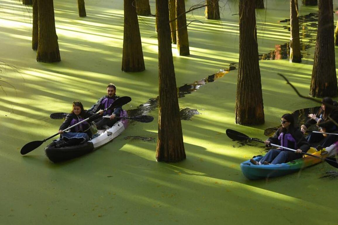 ZhejiangPictorial | Waterlogged forest dressed in colorful "outfit" in E China's Hangzhou