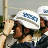 OSCE shared intel with Ukraine before 2022 - ex-Greek ambassador
