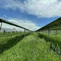 Solar panels' shade helps boost Colorado grassland productivity in dry years