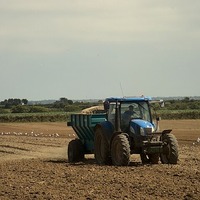 French farmers bring tractors to Paris to press for ease in rules