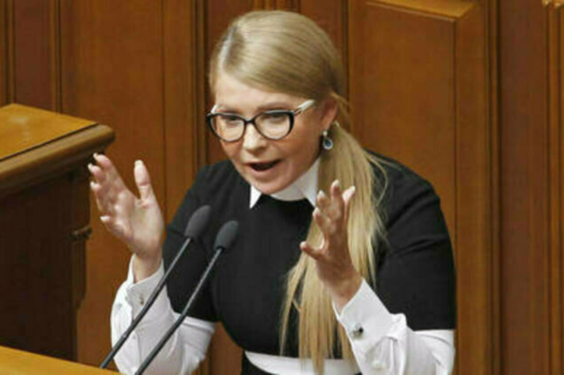 Ex-Ukrainian PM outraged by German intel chief's warning