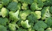 Broccoli growers hit by costs