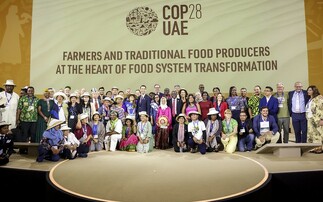 COP28 has sent clear signals for countries to put agriculture and food in their climate plans