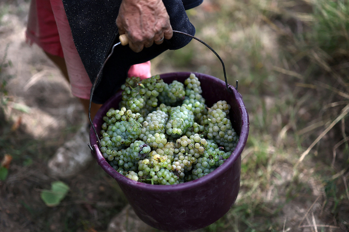 Trump threatens 200pc tariffs on French wine post Marcon's refusal to sit in Gaza Board of Peace