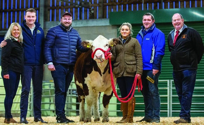 Backbone of Britain: Hereford breeders represent UK down under