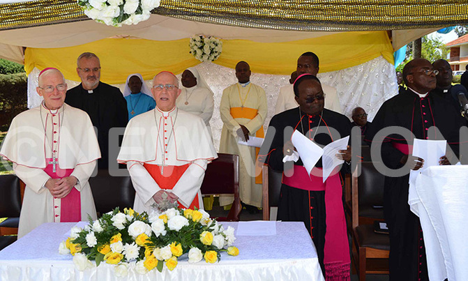 Be zealous promoters of peace, priests told Be zealous promoters of peace, priests told