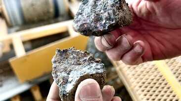 Copper and gold ore