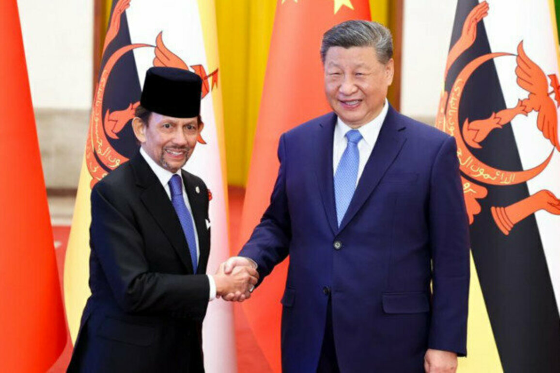 President Xi holds talks with Brunei's Sultan