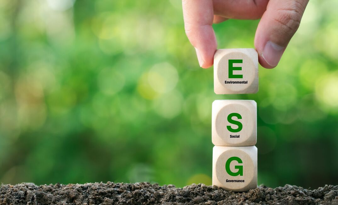 Greenwashing vem se tornando comum com maior cobrança de consumidores e investidores