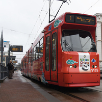 NETHERLANDS-THE HAGUE-CHINESE NEW YEAR-TRAM