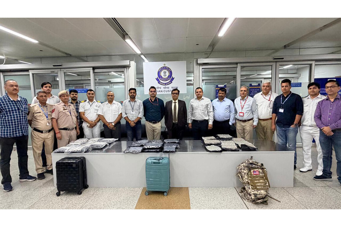 Delhi airport customs seize Rs 35 crore hydroponic weed haul from Bangkok passengers