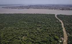 COP30: Baku to Belém Roadmap sets out route towards $1.3tr climate finance goal