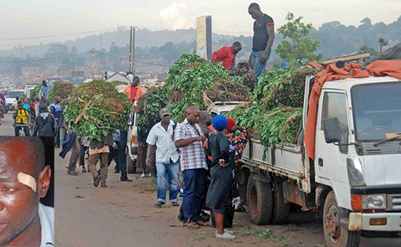 Abasuubuzi nga batikkula ebirime mu kifo awagumba ababbi ne bababba. Mu katono ye Ssemakula eyakubiddwa. Abasuubuzi nga batikkula ebirime mu kifo awagumba ababbi ne bababba. Mu katono ye Ssemakula eyakubiddwa.