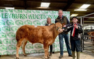  A round up of livestock sales from around the UK