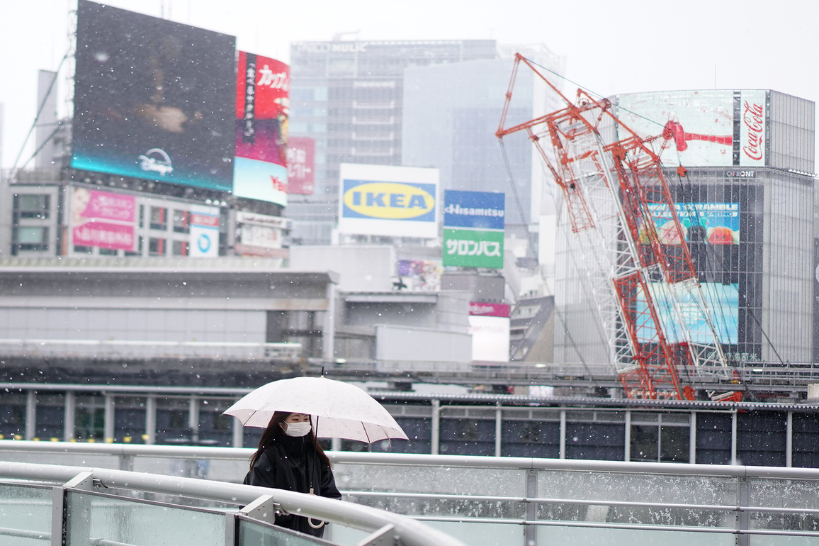 JAPAN-TOKYO-SNOWFALL