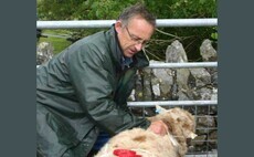 Welsh farmer died after falling 10-feet into a slurry pit