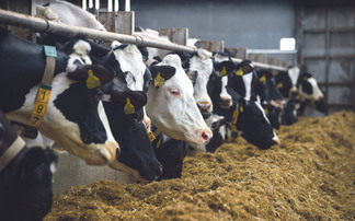 Study shows fall in emissions from England's farms