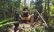 Operação Amazônia Viva contra garimpos ilegais no Pará/Divulgação
