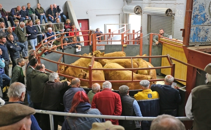Good news for livestock farmers as planners agree a new site for the Thame Farmers Auction Mart 